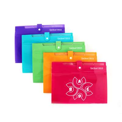 Multi color easy carry plastic PET button buckle insert dividers organ file package bag